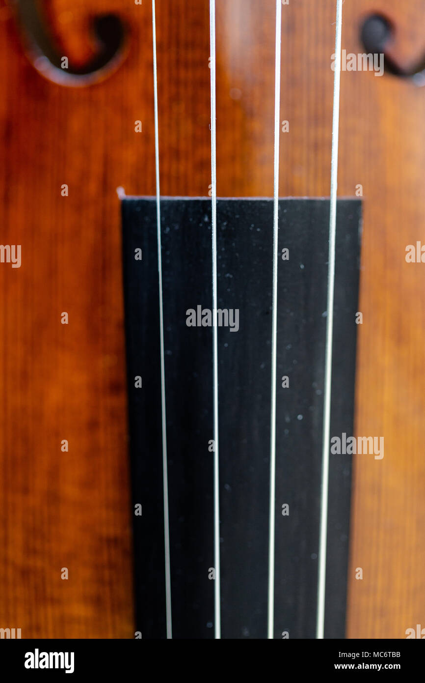 Fokus auf Violine Saiten über griffbrett Körper Bauch. Ansicht von oben, detaillierte Makro. Full Frame Erntegut Stockfoto