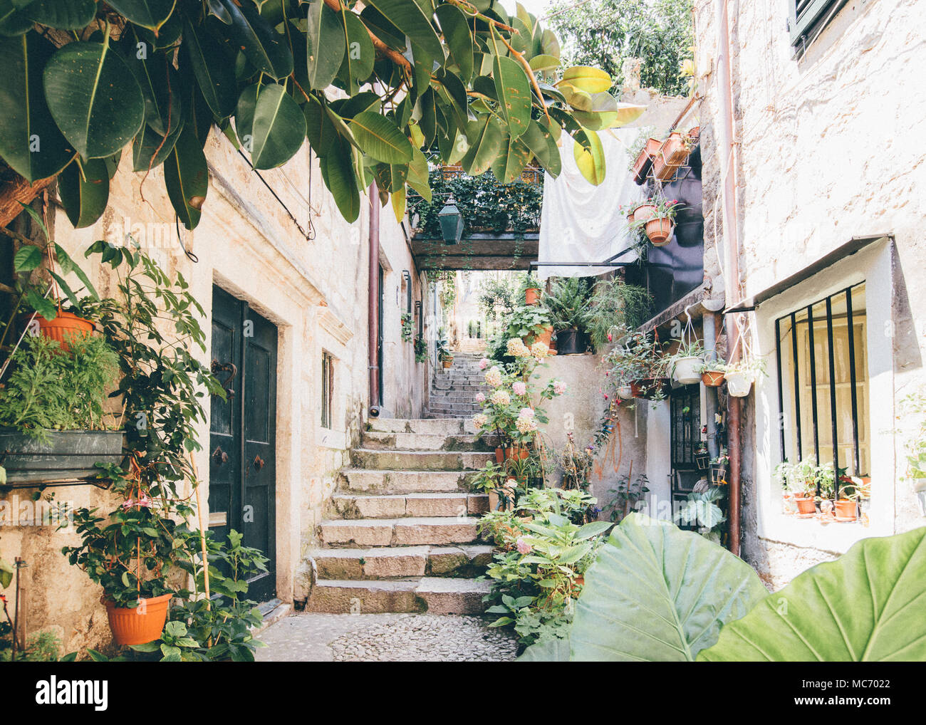 Dubrovnik-Straße Stockfoto