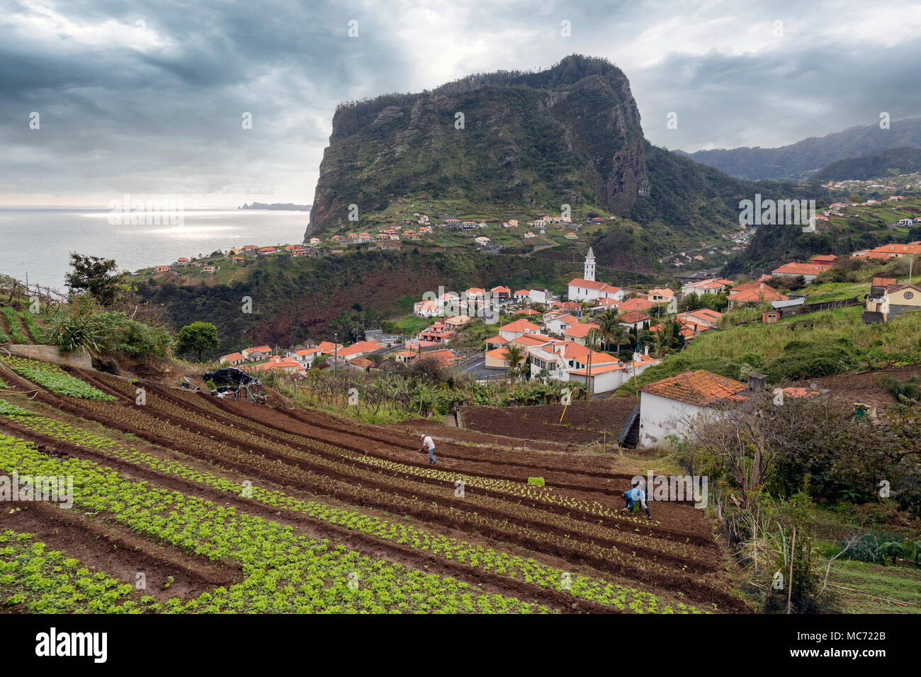 Faial, Madeira, Portugal, Europa Stockfoto