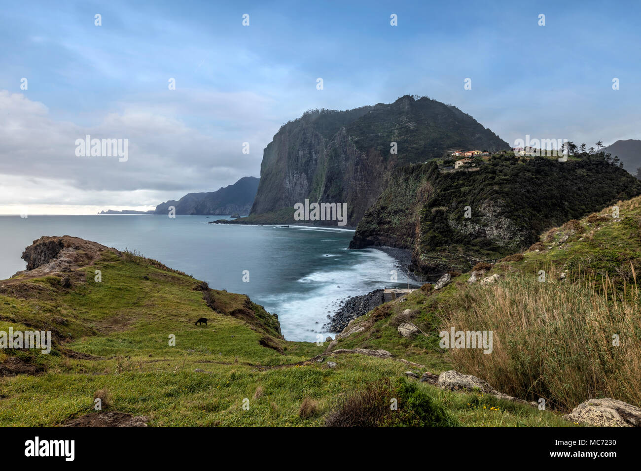 Faial, Madeira, Portugal, Europa Stockfoto