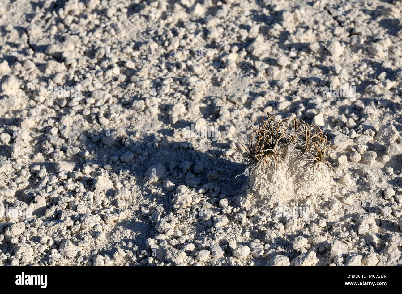 Bodenerosion, weißen Sand Stockfoto