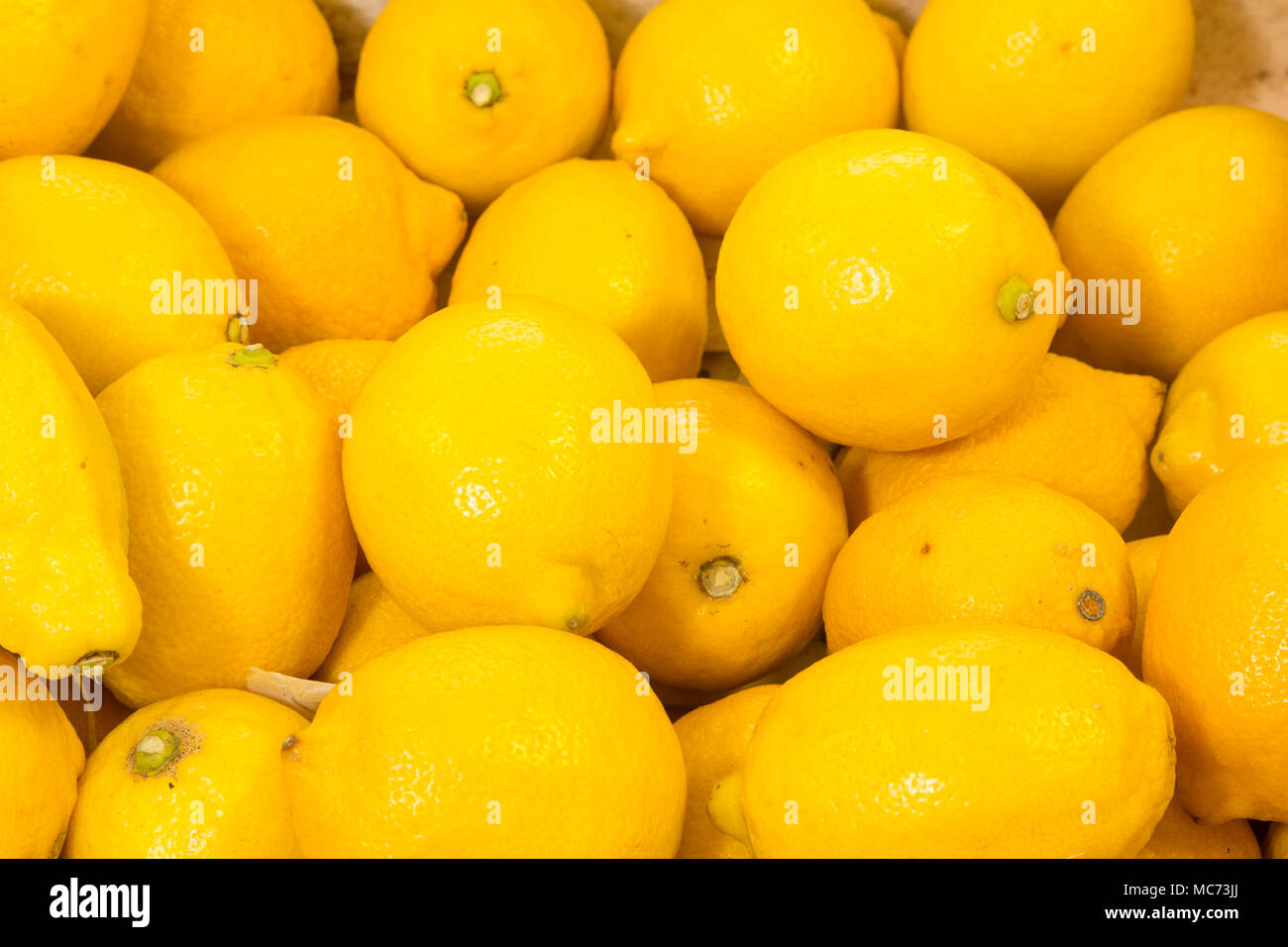 Bündel von Zitronen auf Kaufmann Stockfoto