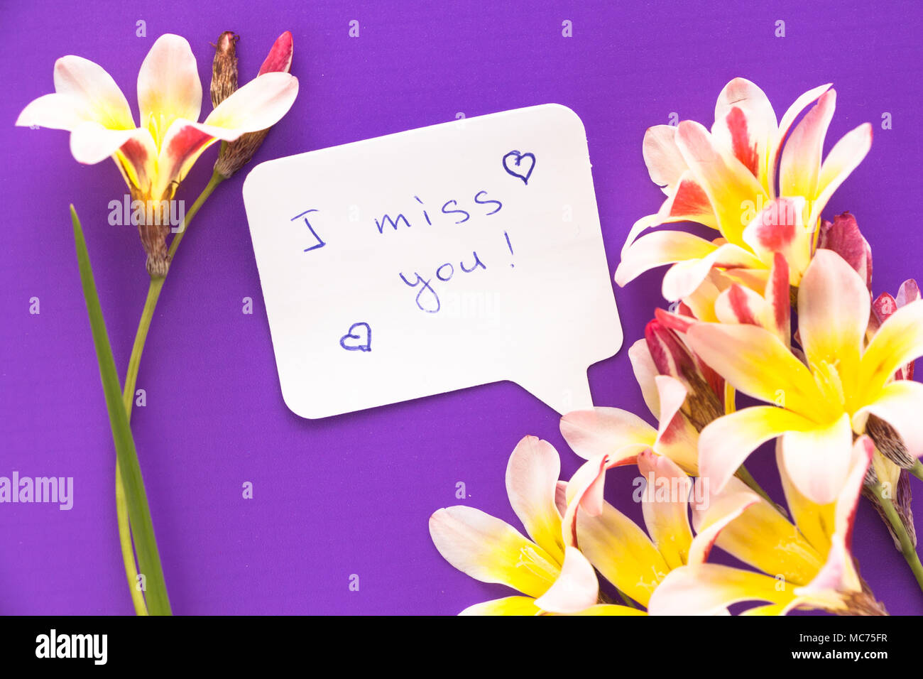 Hinweis in Form von Herzen mit den Worten "Ich vermisse Dich!" mit Blumen auf lila Untergrund. Stockfoto