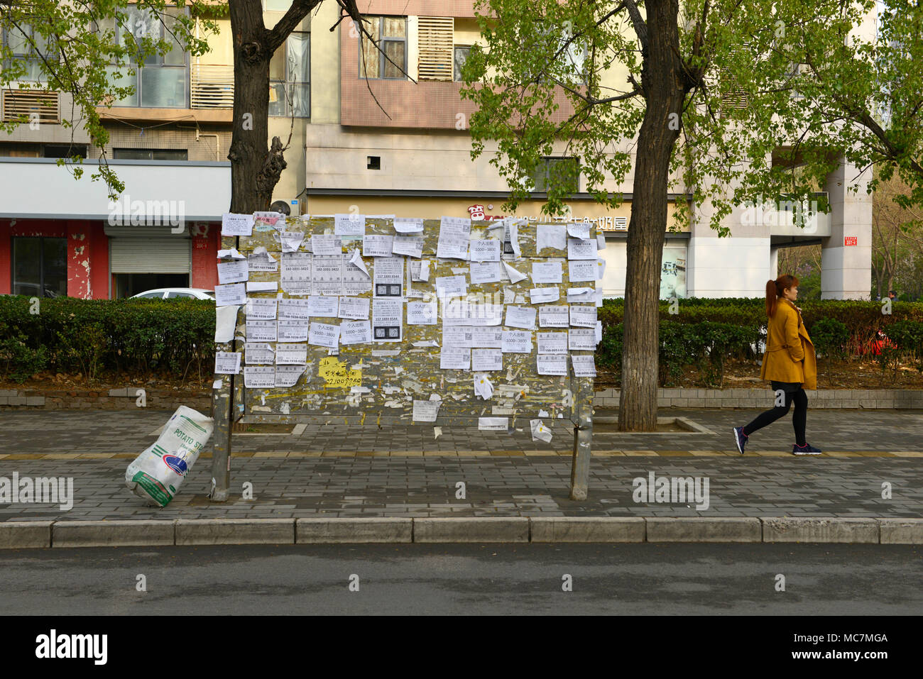 Eine Frau geht über einen Bürgersteig durch eine öffentliche Gemeinschaft noticeboard im Osten von Beijing, China Stockfoto