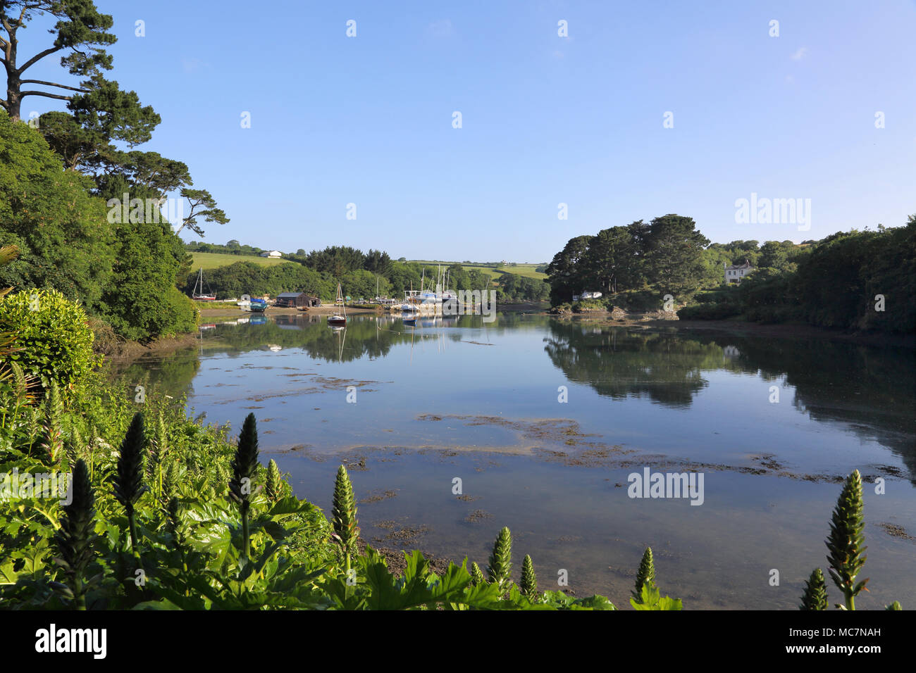 St nur im Roseland Kirche Cornwall Stockfoto
