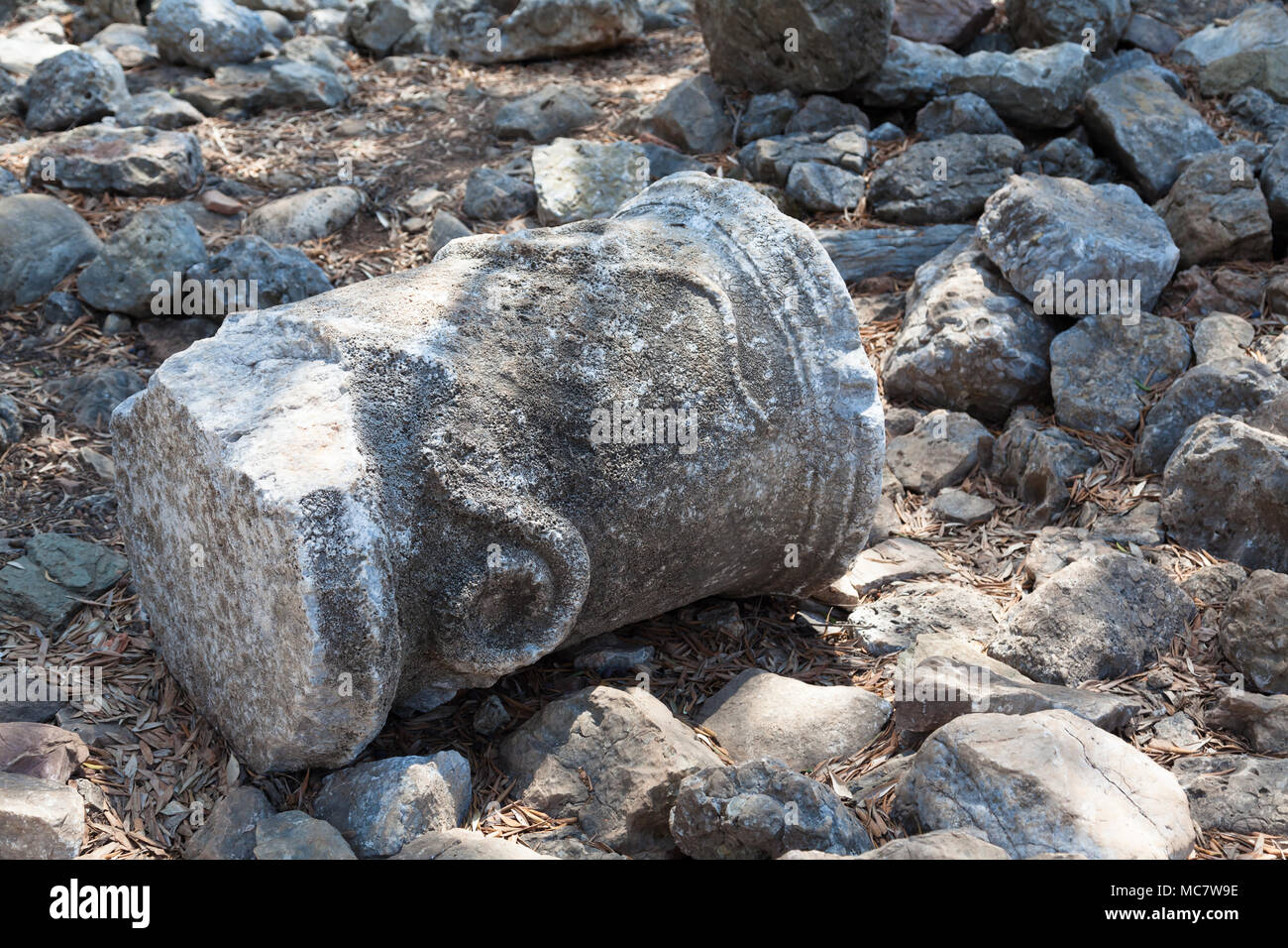 Fragment einer antiken Säule mit einer Schlange Stockfoto