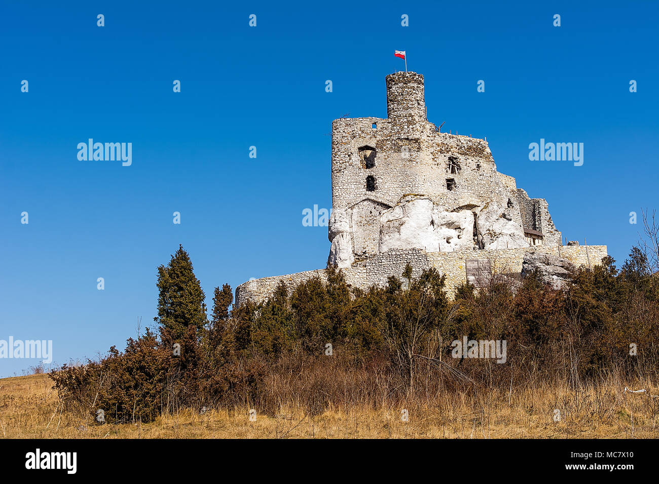 Die Ruinen des 14. Jahrhunderts Mirów Schloss, in der Gemeinschaft der Niegowa. Stockfoto