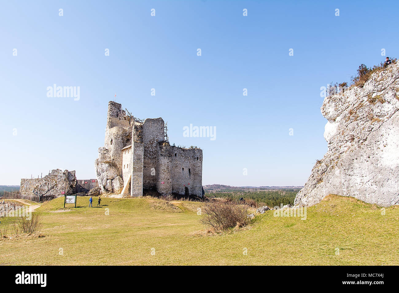 Die Ruinen des 14. Jahrhunderts Mirów Schloss, in der Gemeinschaft der Niegowa. Stockfoto
