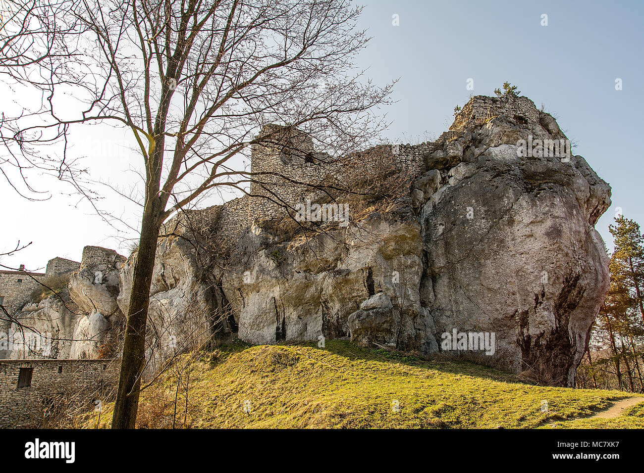 Ruine der Burg aus dem 14. Jahrhundert in Bakowiec Morsko (Polen) Stockfoto