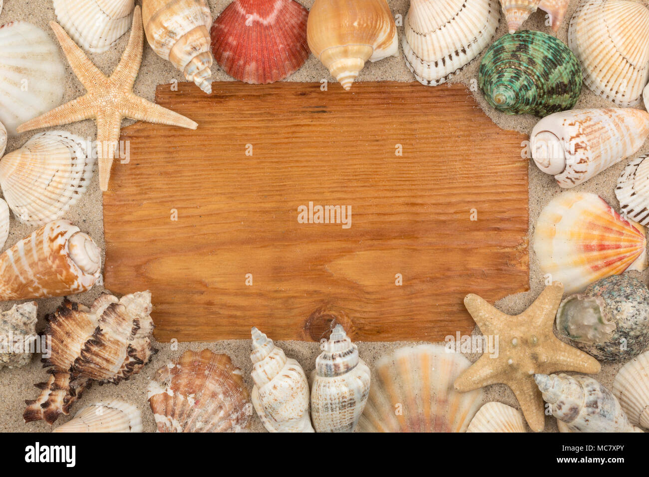 Holzrahmen von Muscheln und Sterne umgeben. Mit einem freien Platz für die Designer. Ansicht von oben Stockfoto