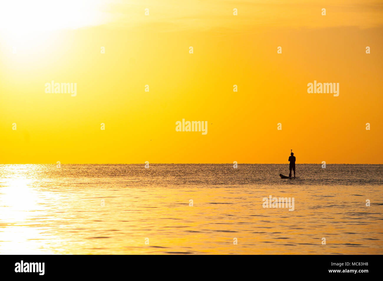 Ein Stand up Paddle boarder gegen die bunten am frühen Morgen Sonnenaufgang über Hollywood Beach silhouetted, Florida Stockfoto