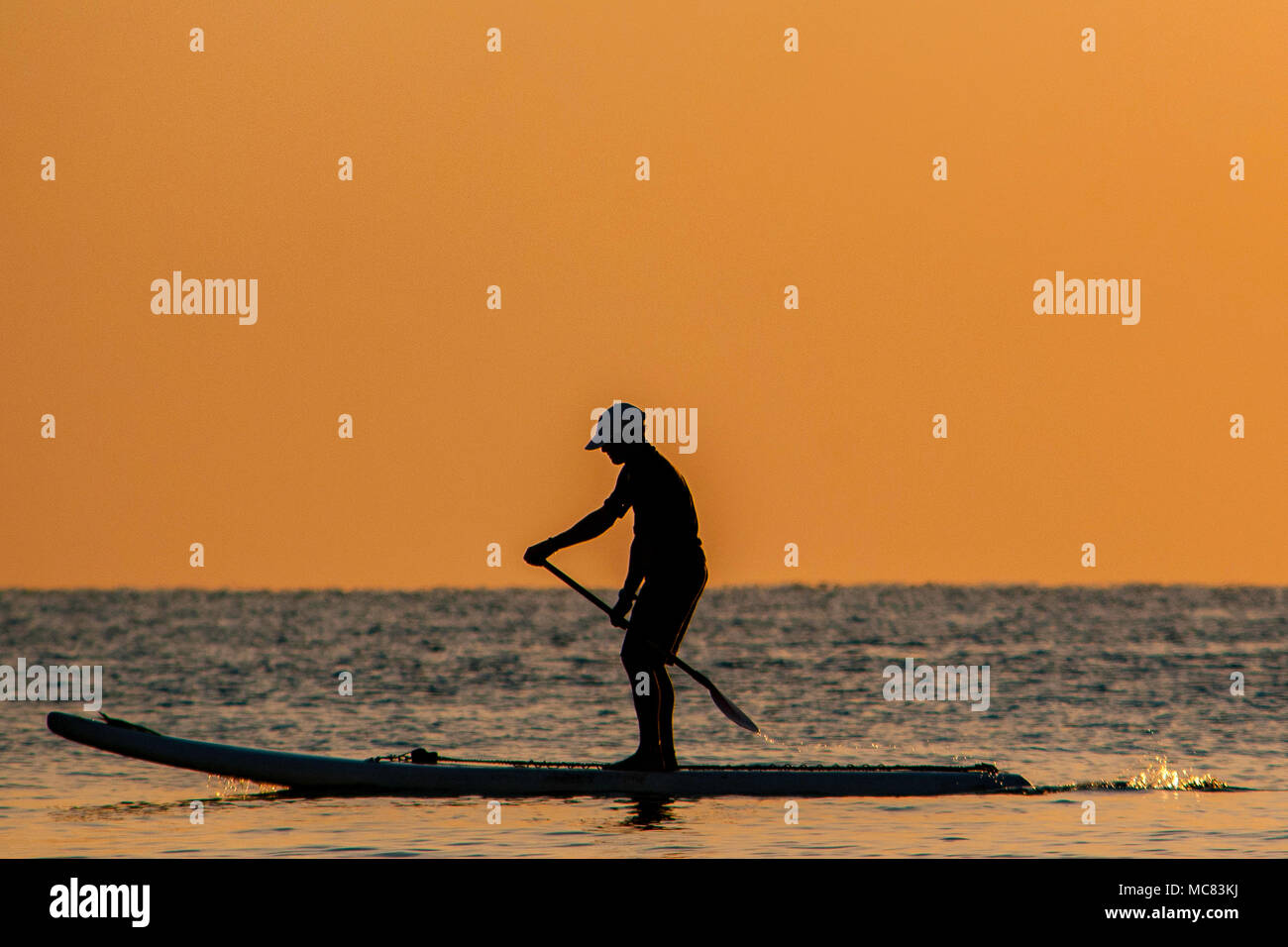 Ein Stand up Paddle boarder gegen die bunten am frühen Morgen Sonnenaufgang über Hollywood Beach silhouetted, Florida Stockfoto