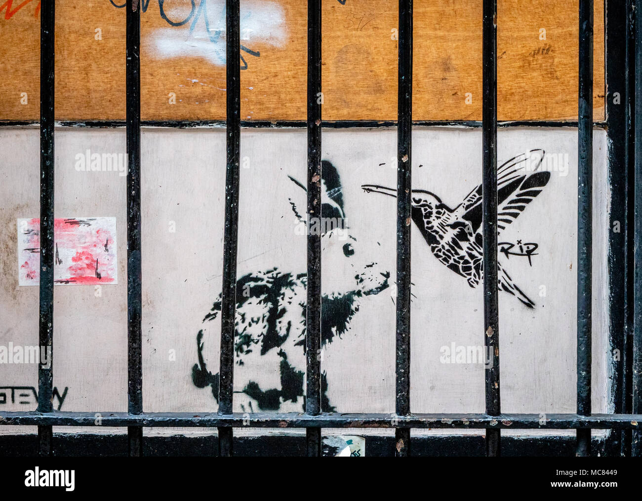 Street Art mit einem Kaninchen und Kolibris hinter Gittern in einer engen Gasse im Zentrum von Bristol UK Stockfoto