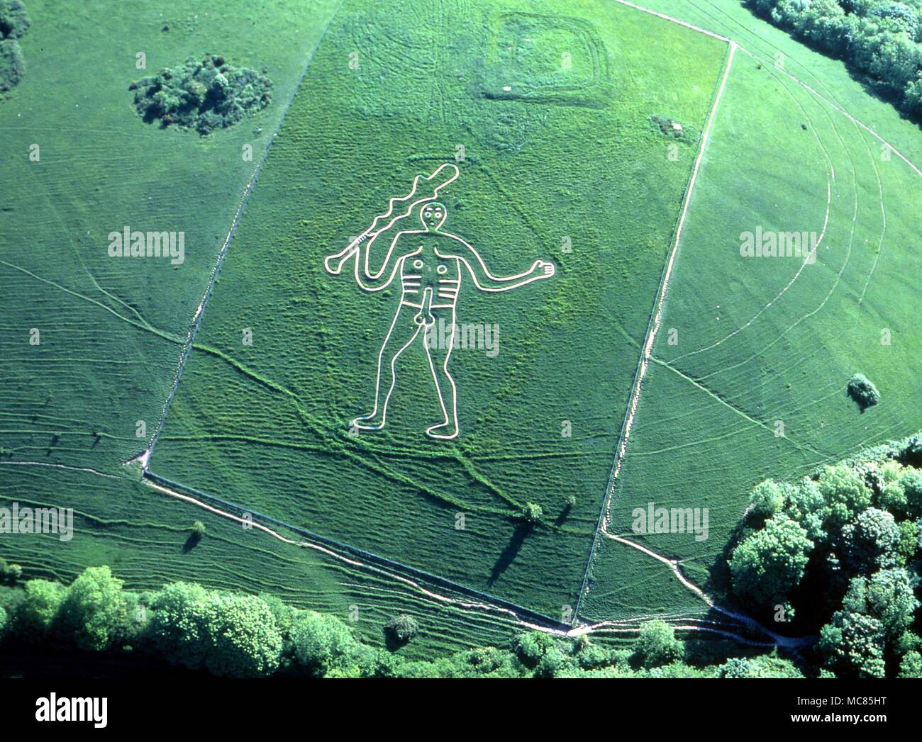Cerne Abbas Giant, gegraben in Chalk über eine viertel Meile von Cerne Abbas Dorf. Die Abbildung ist 180 Meter hoch. Stockfoto