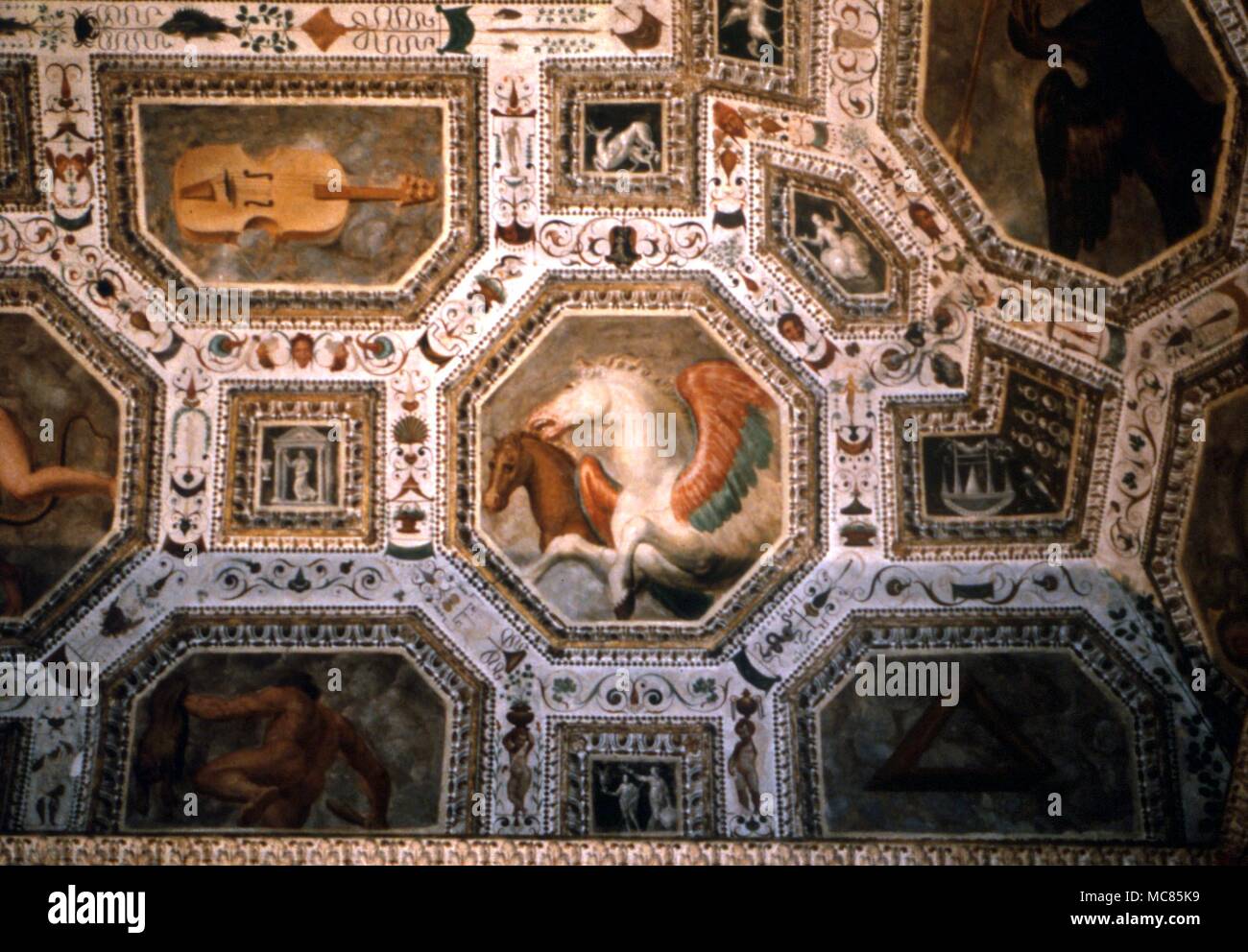 Details der Konstellation Bilder von Pegasus und Equiculus. Deckengemälde von Domenico Rizzo (16. Jahrhundert) in der chiericati Palace, Vicenza. 1500 Stockfoto