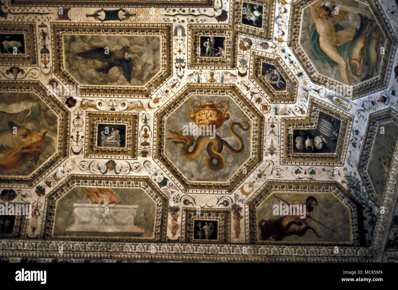 Details fo das sternbild Bilder von Hydra, Krater und Corvus. Deckengemälde von Domenico Rizzo (16. Jahrhundert) in der chiericati Palace, Vicenza. 1500 Stockfoto