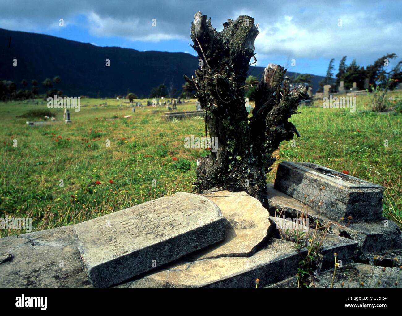 Friedhof Gräber von Leprakranken, die starben, auf der Halbinsel von Kalaupapa, auf der Insel Molokai, ein Aussätziger Kolonie zu diesem Tag. Kalaupapa war berühmt durch das Ministerium Arbeit von Pater Damien gemacht Stockfoto