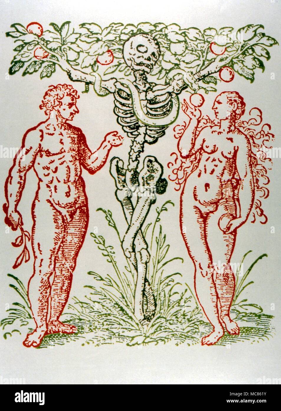 CHRISTIAN Baum der Erkenntnis, mit Bild der Tod als seinen Stamm, und Adam und Eva zwischen. Nach einem Holzschnitt aus dem 16. Jahrhundert Stockfoto