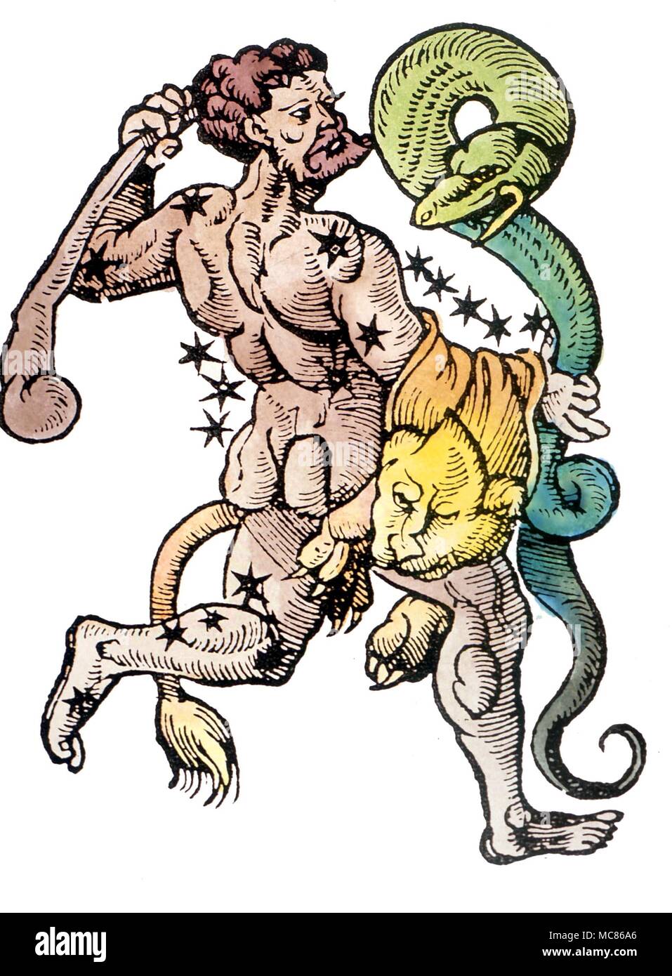 Sternbilder - Hercules Holzschnitt von ca. 1495 des Herkules die Asterismus, mit seinem Club und Lion's Haut über der Schulter Stockfoto