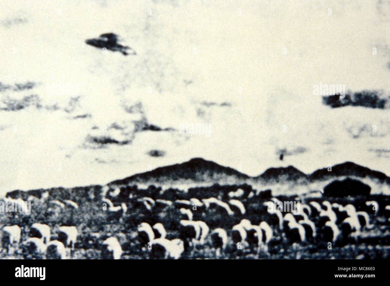 UFO - Unbekanntes Flugobjekt Foto W C Halle in Queensland, Australien, 18. Juli 1954 Stockfoto