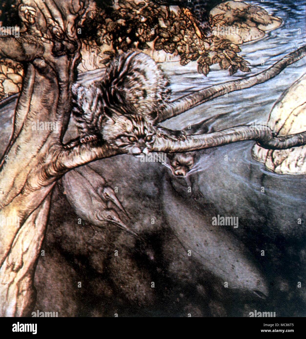 Reinkarnation der wiederholten Erde - leben von Bran, der hier ist, dwelling in seinem avatarformas ein Lachs. Abbildung von Arthur Rackham für Stephen's "Irische Märchen" Stockfoto