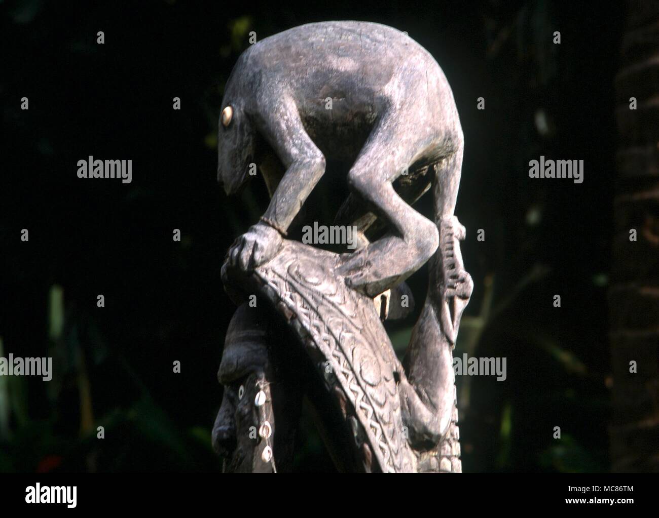 Polynesische Mythologie Detail der Polynesischen Statue des Tieres in der privaten Sammlung auf der Insel Kauai, Hawaii. Beachten Sie die Verwendung von Cowrie Muscheln für die Augen. Kaurischnecken haben eine amuletic Wert Stockfoto