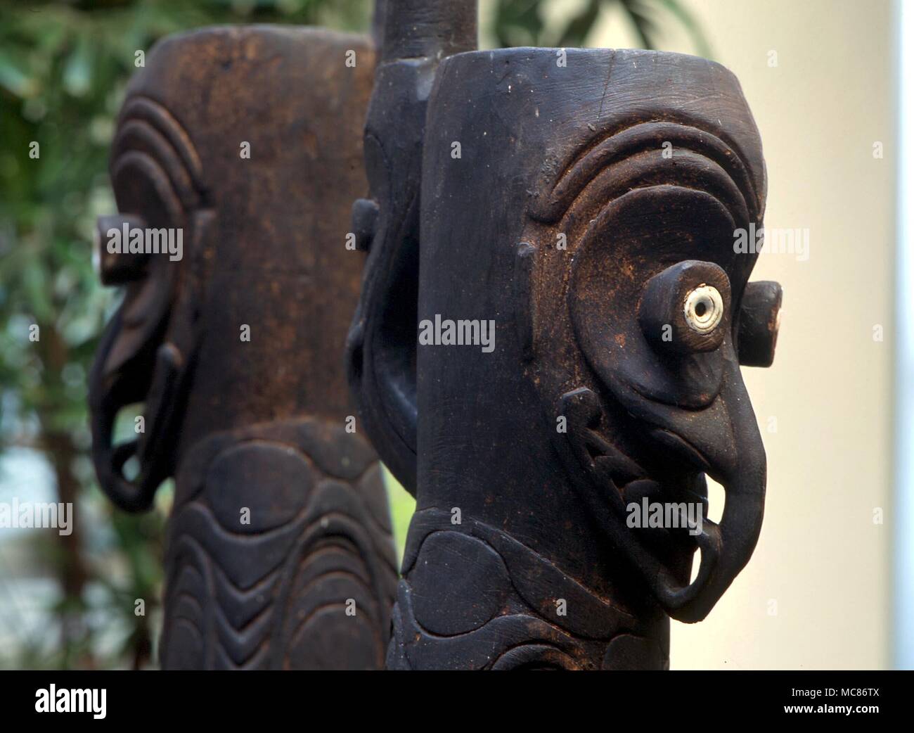 Polynesische Statuen, in private Sammlung auf der Insel Kauai, Hawaii. Beachten Sie die Verwendung von cowrie Tanks für Augen - kaurischnecken haben eine amuletic Wert Stockfoto