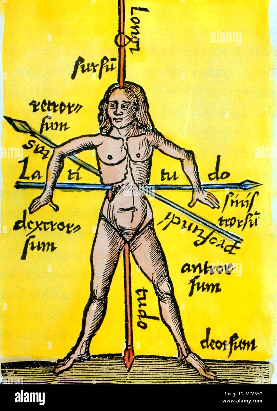 Kabbala Die makrokosmischen Mann in Höhe, Breite und Tiefe - die drei geistlichen Richtungen, vom Schotus (1503), Ausgabe von 'Margarita Philosophica." Stockfoto
