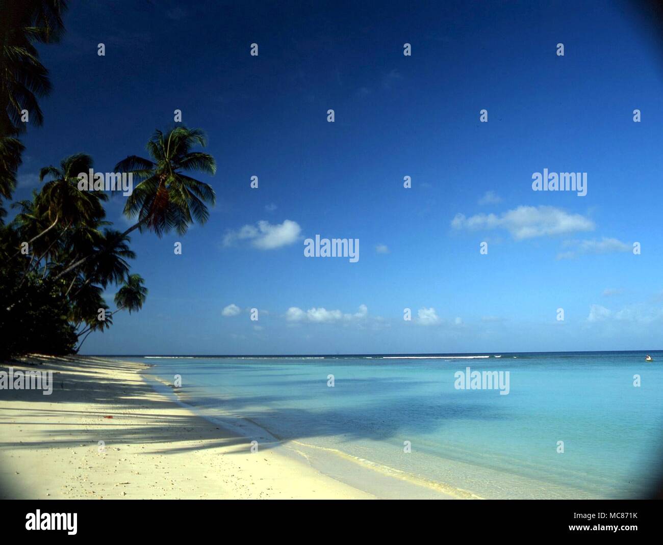 Tropische Inseln mit Palmen gesäumten Strand nördlich von Galle, Sri Lanka Stockfoto