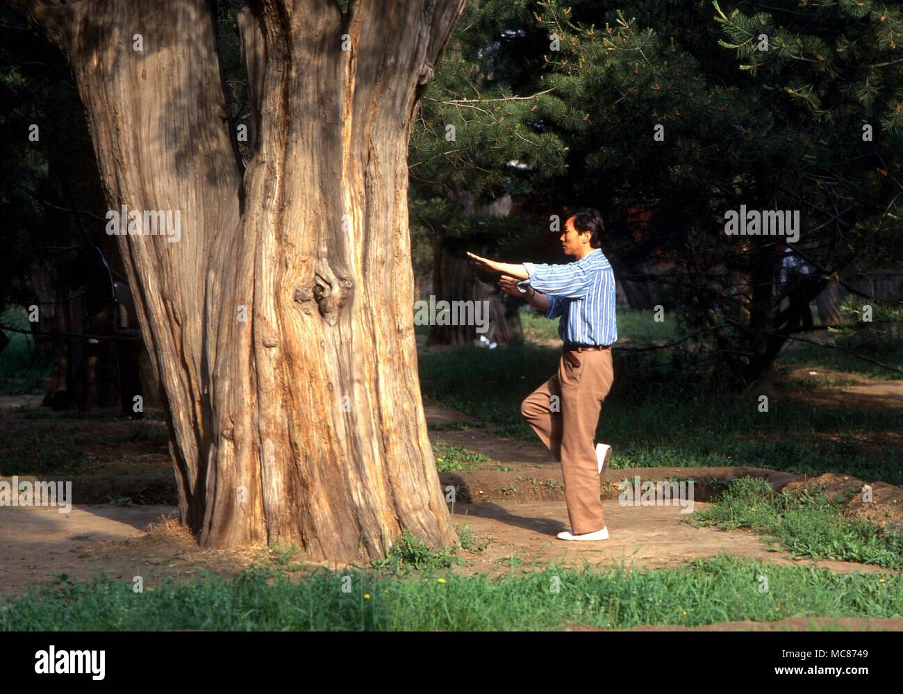 TAI CHI - Chinesen üben von Tai Chi in den Gärten des Himmlischen Tempel, Peking, China Stockfoto