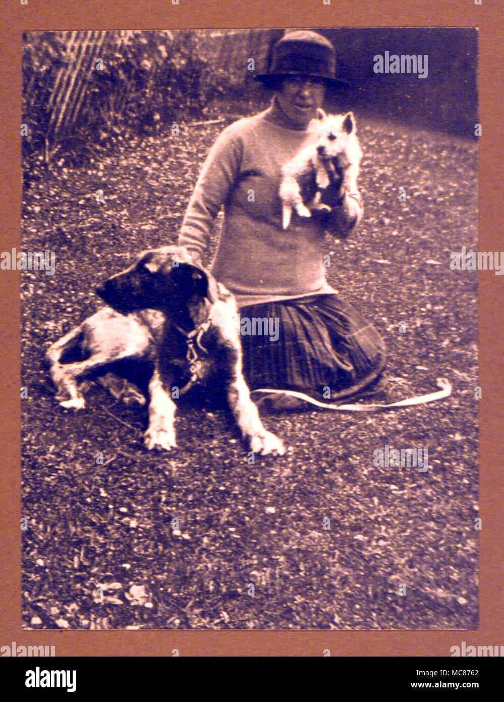 Merkwürdige Phänomene Foto der Wolfshund von Lady Hehir, und die carn Welpe, Kathal, in Bezug auf ein seltsames Bild im September getroffen, 1926 von Frau Filson Stockfoto