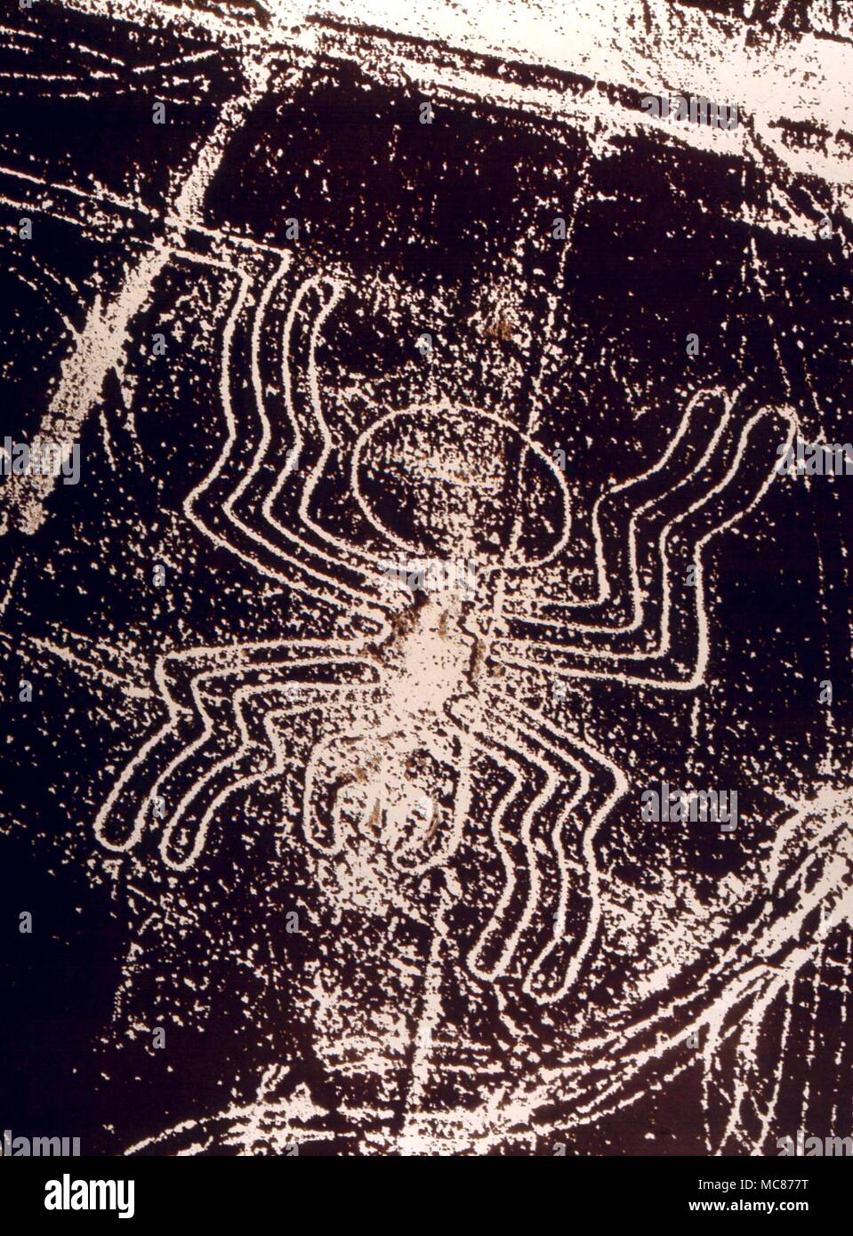 Riesige Bild einer Spinne, in den Wüstensand Durch die Vorfahren der Indianer Nazca, Peru gezeichnet Stockfoto