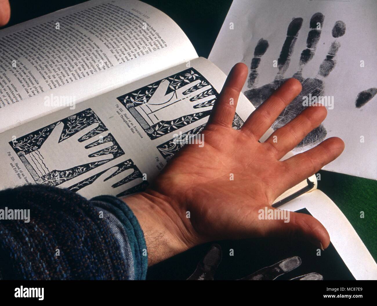 Die menschliche Hand vor dem Hintergrund der palmistic Diagramme. 2004 Charles Walker/ Stockfoto