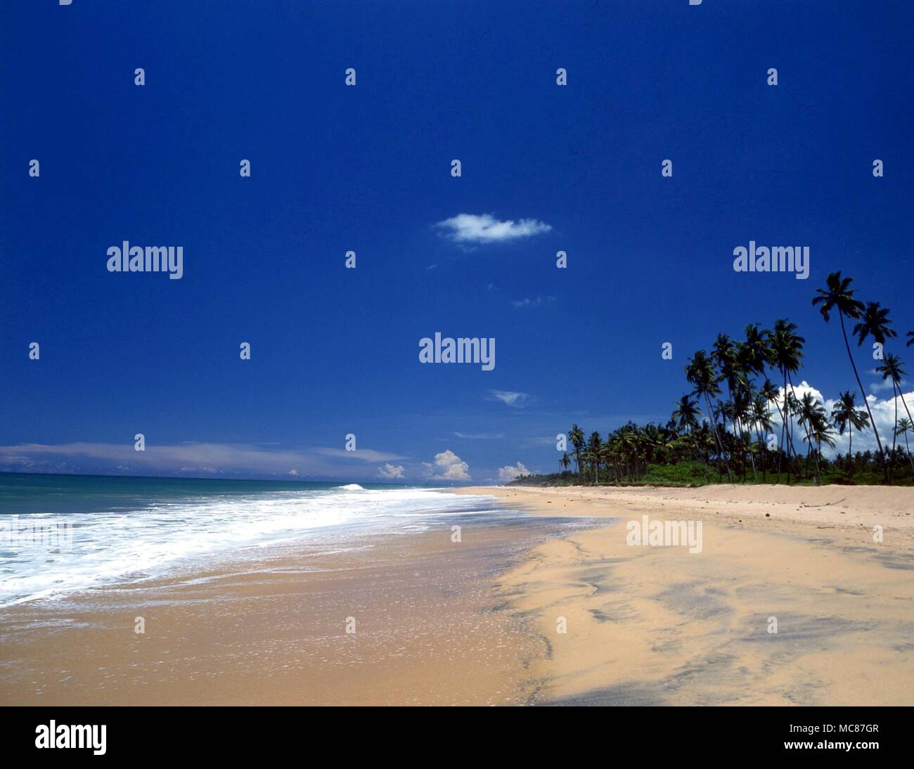 Tropische Inseln mit Palmen gesäumten Strand nördlich von Galle, Sri Lanka Stockfoto