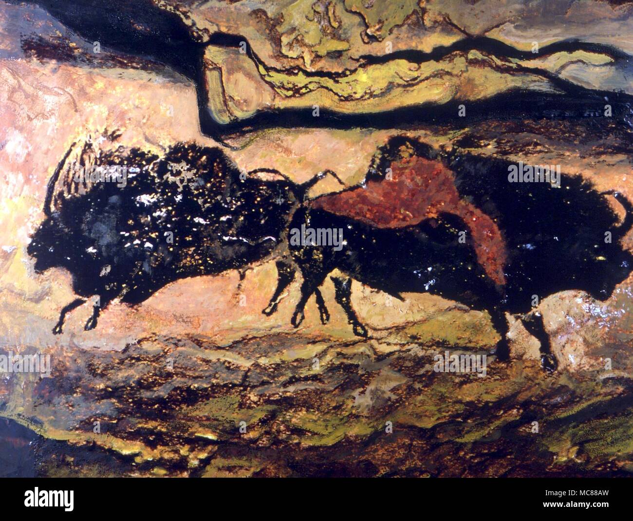 Höhlenmalereien prähistorischen Höhlenmalereien von zwei bisons aus Lascaux (axiale Galerie. Artwork und Computer Grafik von James Thorn. Stockfoto
