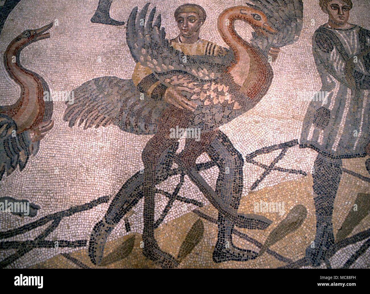 Tiere - Strauß römischen Mosaiken aus dem 3. Jahrhundert n. In der großen römischen Villa in Casale in der Nähe von Piazza Armerina. Dies ist eines der schönsten Relikte aus der Römerzeit Stockfoto