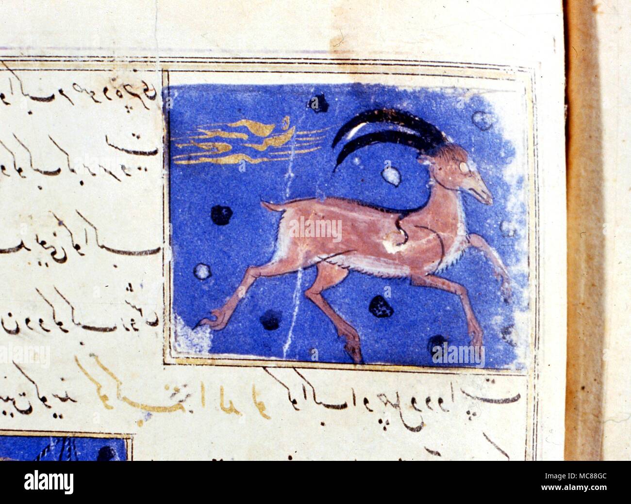 Astrologie - Arabisch Bild des Steinbocks. Von einem Persischen astrologische Abschnitt im Wunder der Welt Stockfoto