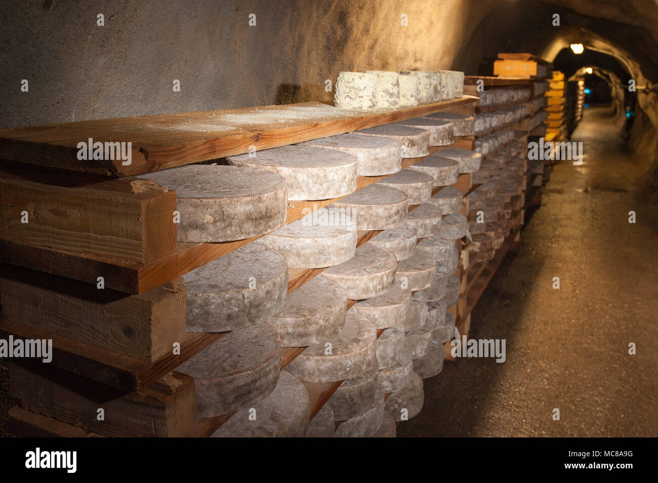 Rognaix (Französische Alpen, Frankreich). Unternehmen 'Les Caves d'Affinage de Savoie', Käse ripener. Stockfoto