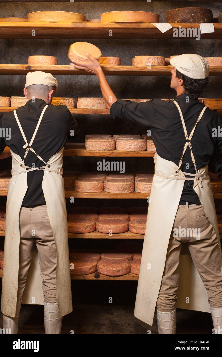 Rognaix (Französische Alpen, Frankreich). Unternehmen 'Les Caves d'Affinage de Savoie', Käse ripener. Gewaschen - Rinde gereifter Käse Tomme mit Bier Stockfoto