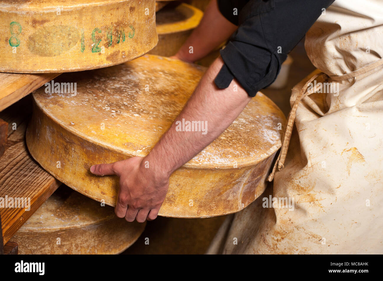 Rognaix (Französische Alpen, Frankreich). Unternehmen 'Les Caves d'Affinage de Savoie', Käse ripener. Runde der Beaufort Käse Stockfoto