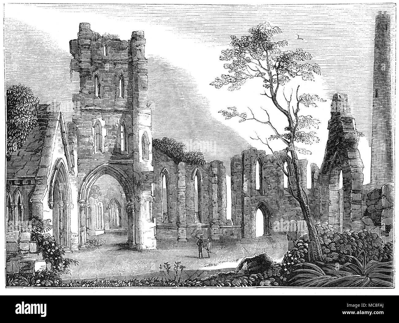 In 480 Saint Brigid kam in Kildare mit ihren Nonnen. Nach ihrem Tod in 523 A.D., ein Heiligtum errichtet wurde und für viele Jahrhunderte Kildare ein einzigartiges Experiment, in dem die Äbtissin über eine doppelte Gemeinschaft von Nonnen und Mönchen ausgeschlossen. Zwischen 835 und 1500, es war oft beschädigt und wurde von 1649 aufgegebenen. Die Kathedrale wieder verfiel Nach dem 16. Jahrhundert englischen Reformation und 17. Jahrhundert Irischen. Eine komplette Restaurierung der Kathedrale wurde im 19. Jahrhundert von George Edmund Straße durchgeführt. Grafschaft Kildare, Irland. Stockfoto