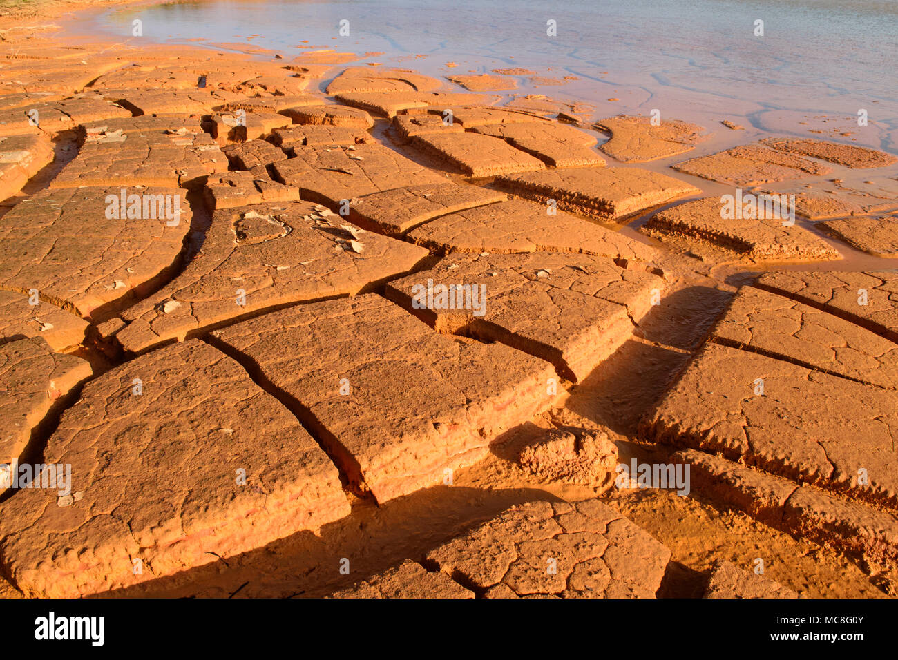 Natürliche Muster, Textur, abstrakten und Hintergrund in der Natur Stockfoto