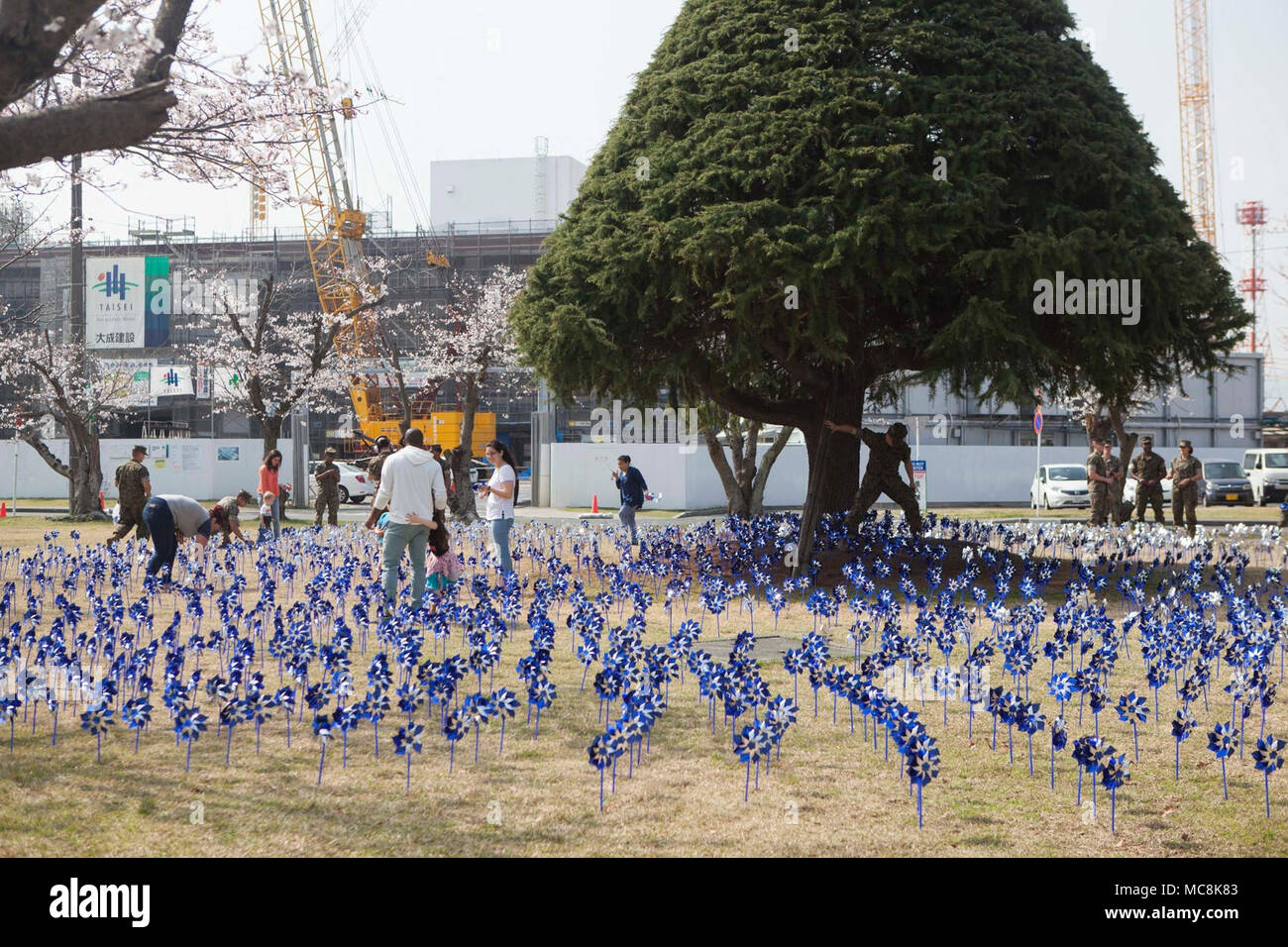 Marine Corps Air Station (WAB) Iwakuni Bewohner Anlage blue Pinwheels während des 2018 National Child Abuse Prevention Pinwheel Pflanzen bei WAB Iwakuni, Japan, 29. März 2018. Die blauen Pinwheels wurden als Teil der nationalen Kindesmissbrauch Prävention Monat Aktivitäten gepflanzt und die Möglichkeit für Einzelpersonen und Organisationen, Maßnahmen zu ergreifen. Stockfoto