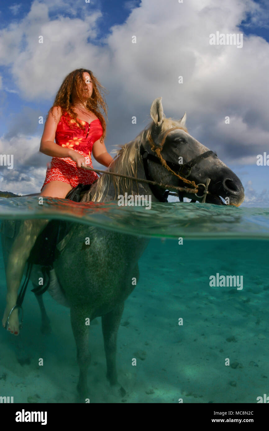 Reiten Ausflüge auf Rarotonga oft mit einem Sprung in den Ozean für Reiter und Pferd, Rarotonga, Cook Inseln. Stockfoto