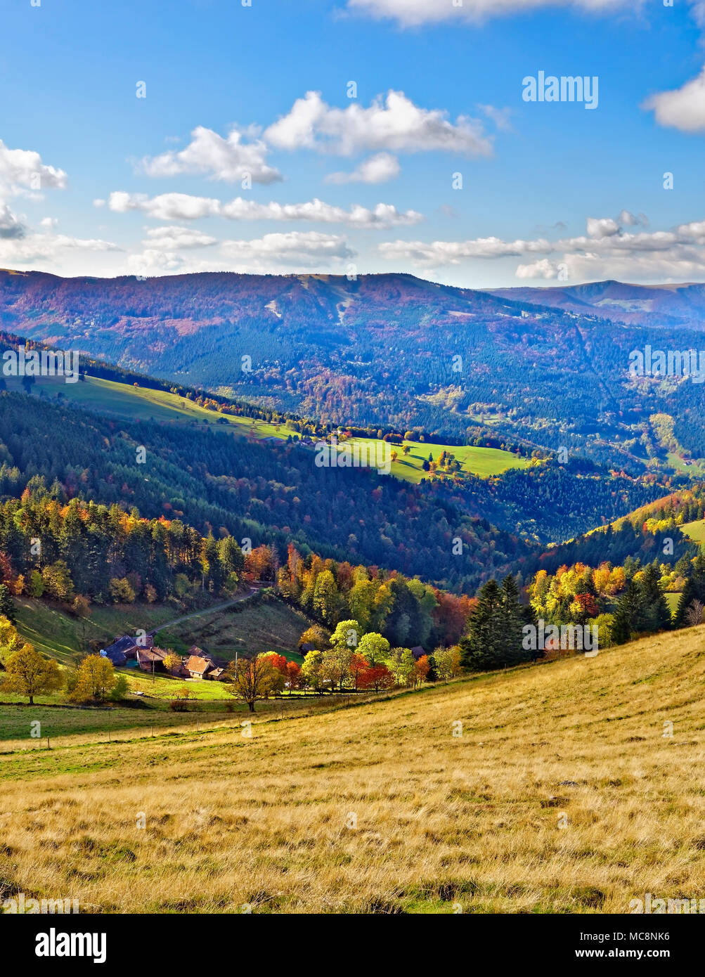 Einen erhöhten Blick auf die Vogesen von Petit Ballon, Elsass, Frankreich. Stockfoto