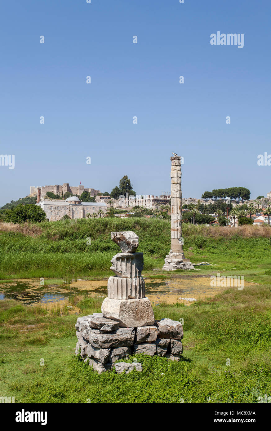 Ruinen des Tempels der Artemis in Ephesos, der antiken Stadt befindet sich  in der Türkei Stockfotografie - Alamy