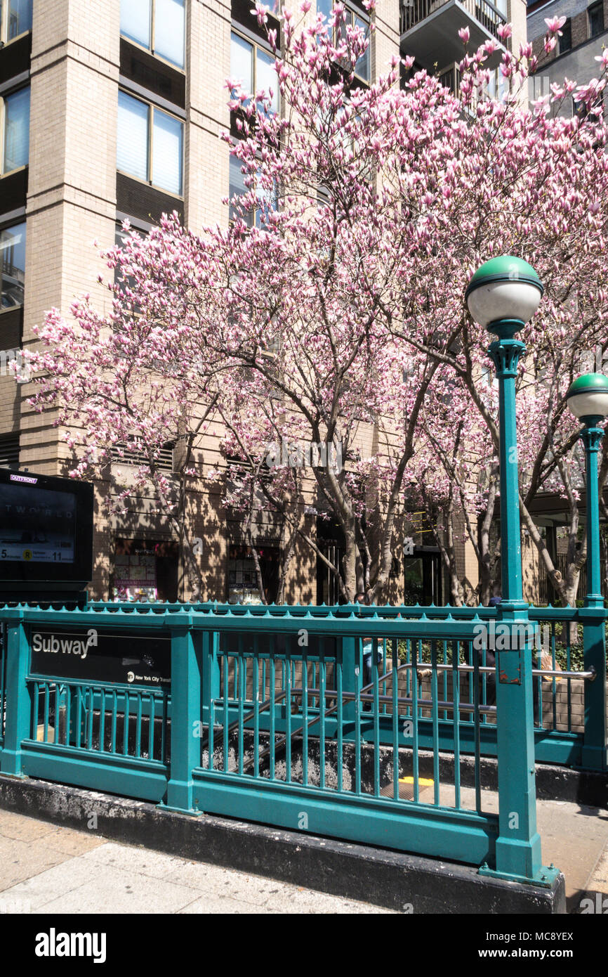 U-Bahnstation Lampe im Frühling, New York City, USA Stockfoto