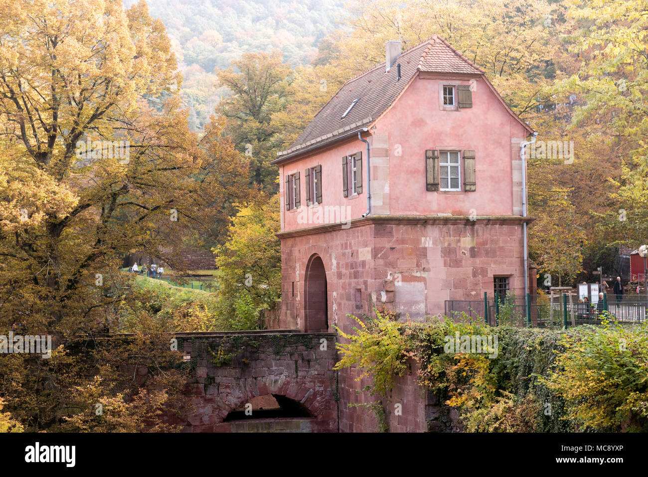 Das Heidelberger Schloss, Heidelberg, Baden-Württemberg, Deutschland, Europa Stockfoto