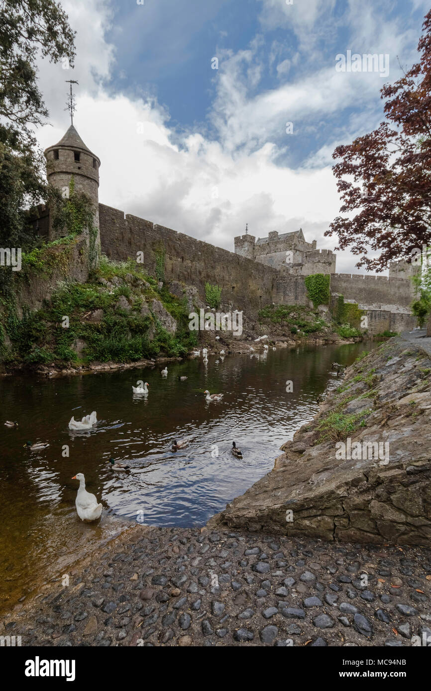 Cahir Castle in Tipperary Stockfoto