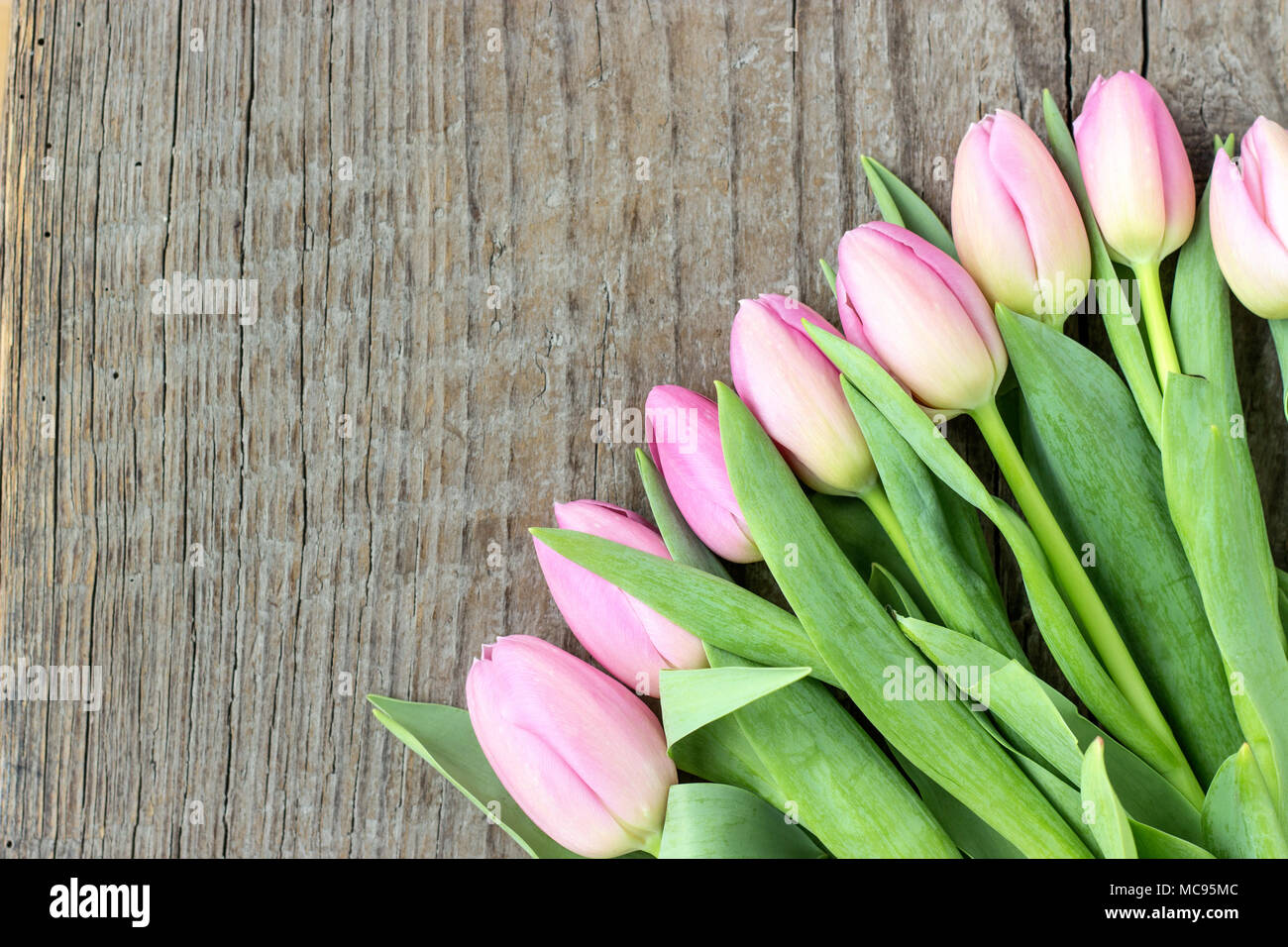Blick von oben auf ein Bouquet von rosa Tulpen auf einer hölzernen Hintergrund Stockfoto
